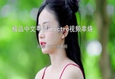 如真如假极品中文粤语Electro视频串烧