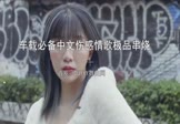车载必备中文伤感情歌极品串烧