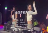 网络-是想你的声音啊(DJHouse 夜店DJ视频)