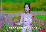 女声-是想你的声音啊(DJHouse 写真DJ视频)