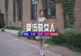 王菲-容易受伤的女人(DJHouse 写真DJ视频)