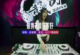 徐誉滕-做我老婆好不好(DJ车载 打碟DJ视频)