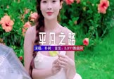 朴树-平凡之路(DJHouse 写真DJ视频)