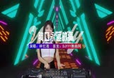 林忆莲-你是我胸口永远的痛(王杰 打碟DJ视频)