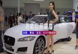 曹越-不能忘不能爱(DJHouse 车模DJ视频)