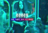 张鑫雨-夜夜夜夜熬(DJHouse 打碟DJ视频)