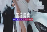 男声-不该用情(DJHouse 车模DJ视频)