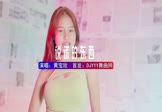 黄宝欣-说谎的东西(DJHouse 打碟DJ视频)