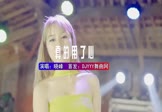晓峰-真的用了心(DJHouse 打碟DJ视频)