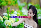 乌兰图雅-阿尔山的姑娘(DJHouse 写真DJ视频)