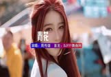 周传雄-青花(DJHouse 写真DJ视频)