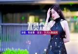 陈婉菁-不负众望(DJ阿杰 写真DJ视频)