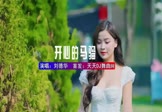 刘德华-开心的马骝(DJHouse 写真DJ视频)
