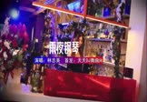 林志美-雨夜钢琴(DJ车载 打碟DJ视频)