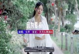 女声-因为爱情(DJ车载 打碟DJ视频)