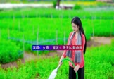女声-烟雨人间(DJ版 写真DJ视频)