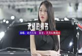 动力火车-无情的情书(DJHouse 车模DJ视频)