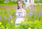 张德伊玲-下一个天亮(DJ豪大大 写真DJ视频)