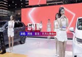 网络-忘情果(DJ国会鼓 车模DJ视频)
