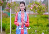 王娜-无爱情歌(DJ车载 写真DJ视频)