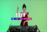 女声-心有独钟(DJ车载 打碟DJ视频)