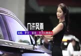 罗文-几许风雨(DJHouse 车模DJ视频)