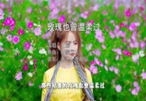 王娜-玫瑰也曾温柔过(DJ豪大大 写真DJ视频)