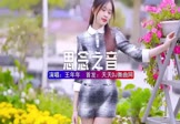 王年年-思念之音(京仔 写真DJ视频)