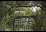 女声-突然想起你(DJHouse 写真DJ视频)