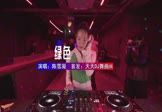 陈雪凝-绿色(DJ车载 打碟DJ视频)
