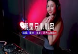 谭艳-我是一只小小鸟(DJwave 打碟DJ视频)