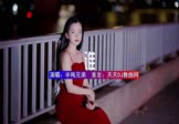 半吨兄弟-谁(DJYuu 写真DJ视频)