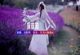 浅影阿-探故知(DJ车载 写真DJ视频)