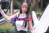 男声-平凡之路(DJ车载 打碟DJ视频)