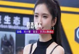 刘小慧-初恋情人(DJHouse 车模DJ视频)