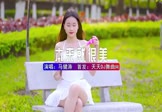 马健涛-你本来就很美(DJ伟然 写真DJ视频)