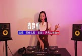 等什么君-春庭雪(DJ车载 打碟DJ视频)