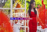 徐小凤-每一步(DJHouse 写真DJ视频)
