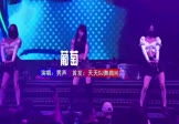 男声-葡萄(DJHouse 夜店DJ视频)