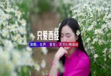 女声-只爱西经(DJHouse 写真DJ视频)