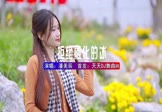 潘美辰-拒绝融化的冰(DJ安瑾 写真DJ视频)