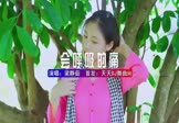 梁静茹-会呼吸的痛(DJHouse 写真DJ视频)