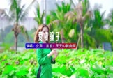 女声-爱情骗子我问你(DJHouse 写真DJ视频)