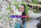 网络-康电情歌(DJHouse 写真DJ视频)