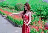 男声-别哭了宝贝(DJHouse 写真DJ视频)